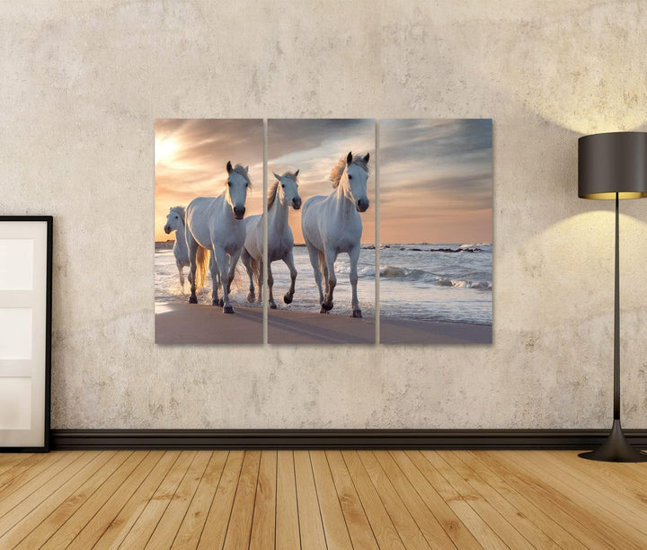 islandburner Bild auf Leinwand Weisse Pferde Camargue Frankreich Herde Bilder Wandbilder Poster Lein