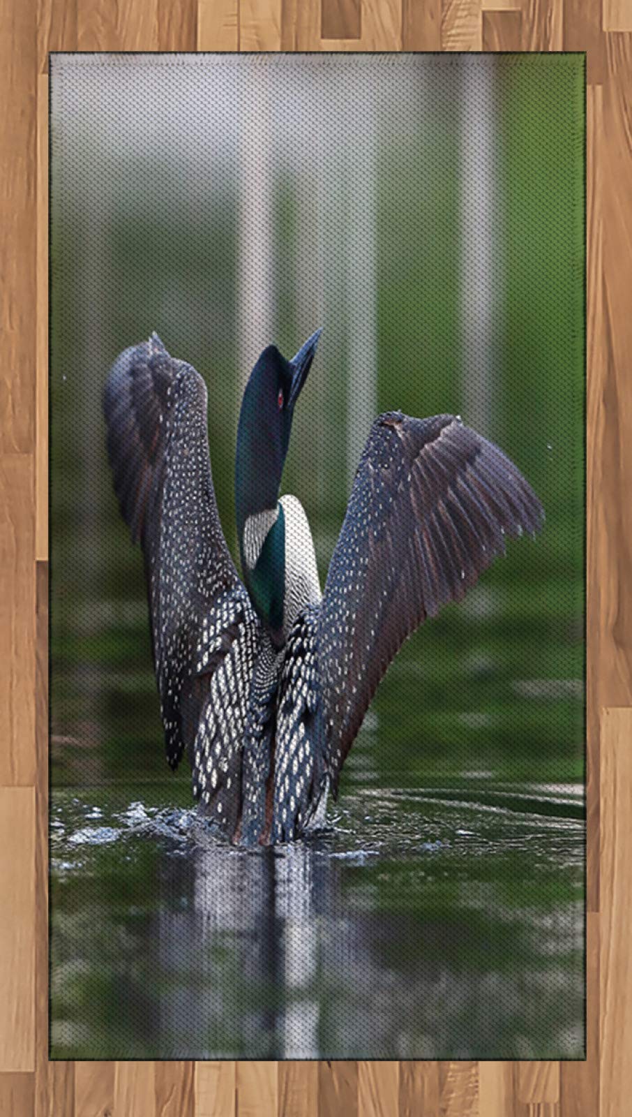 ABAKUHAUS Seetaucher Teppich, Bild des gemeinsamen Loon auf Wasser, Flachgewebe Deko-Teppiche für da