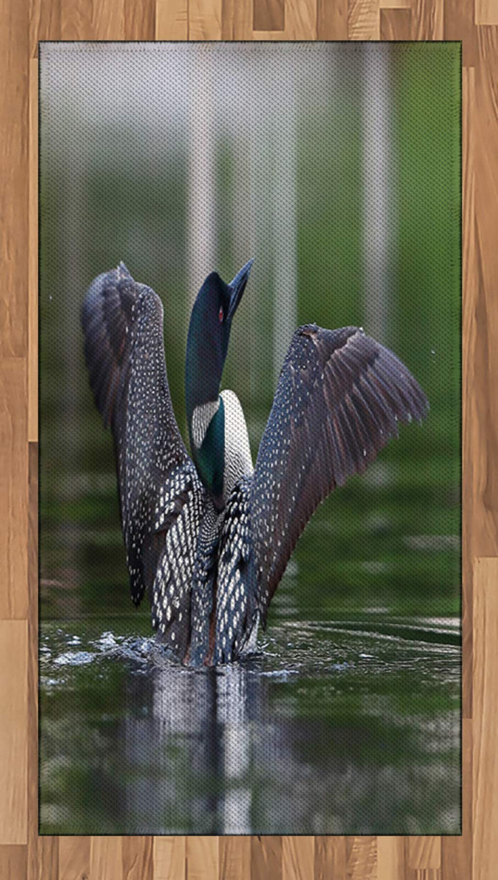 ABAKUHAUS Seetaucher Teppich, Bild des gemeinsamen Loon auf Wasser, Flachgewebe Deko-Teppiche für da
