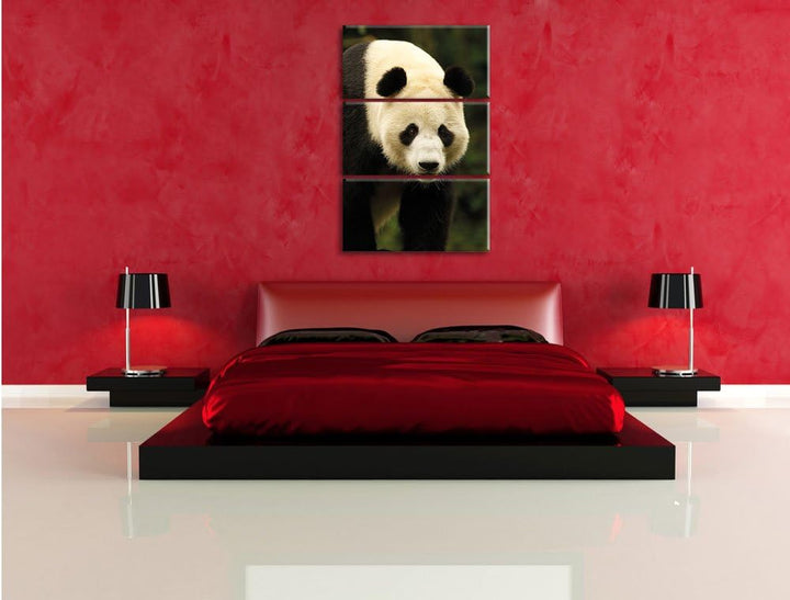 Pixxprint Leuchtturm mit Robben als Leinwandbild/Grösse: 3 Teilig (120x80) / Wandbild/Kunstdruck/fer