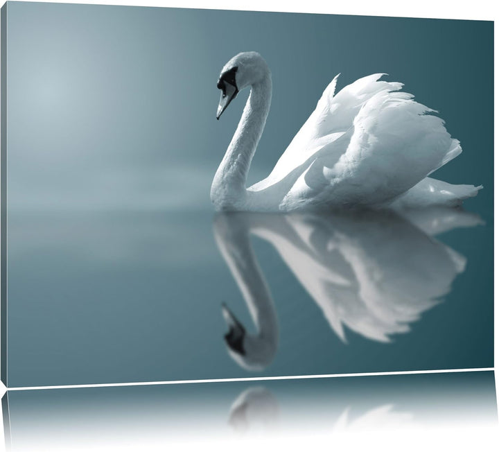 Edler weisser Schwan auf See Format: 100x70 auf Leinwand, XXL riesige Bilder fertig gerahmt mit Keil