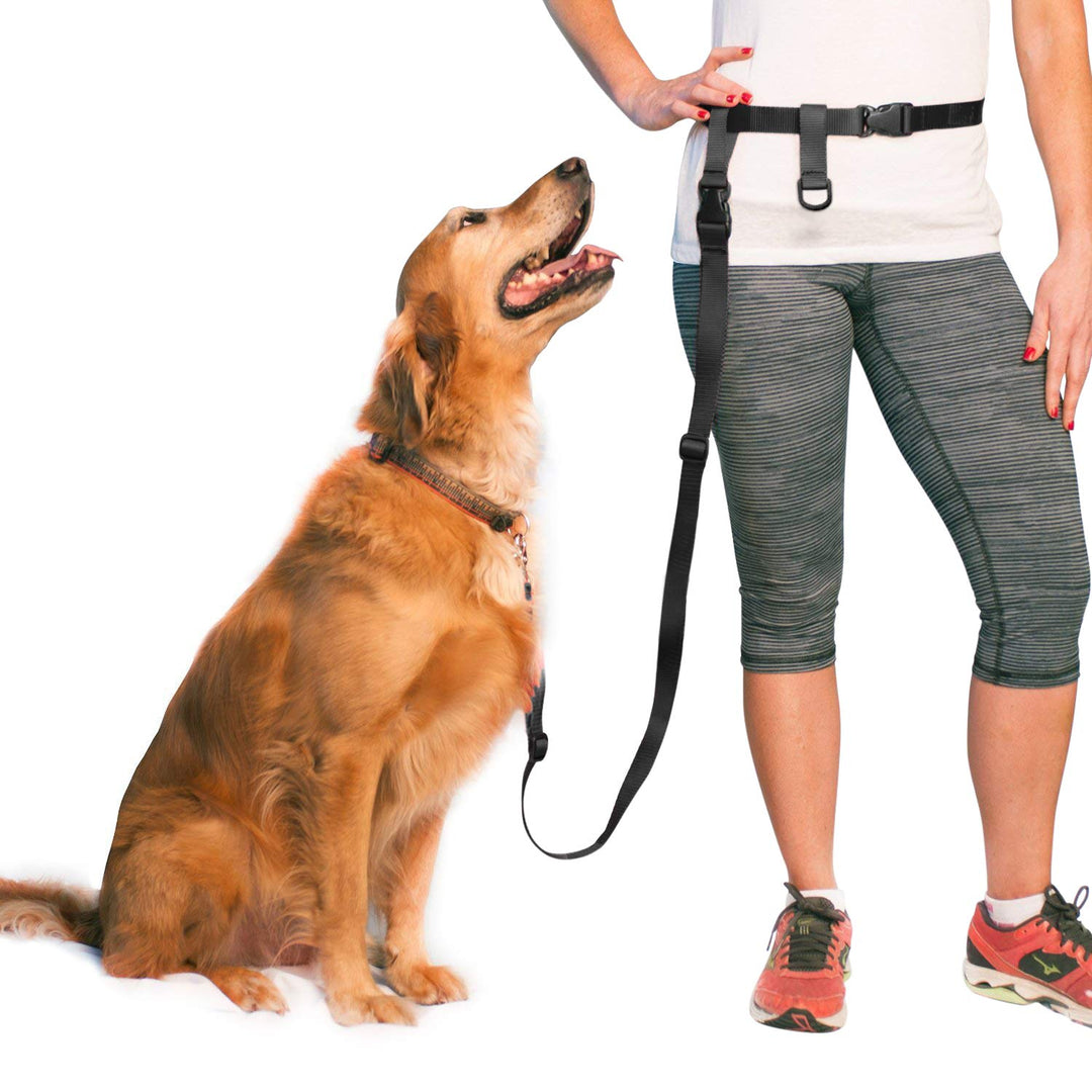 The Buddy System Made in USA Adjustable Hands Free Leash, Great for Running, Regular Dog System, Reg