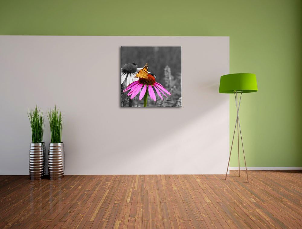 Pixxprint Schmetterling auf Kornblume als Leinwandbild Quadratisch/Grösse: 70x70 / Wandbild/Kunstdru