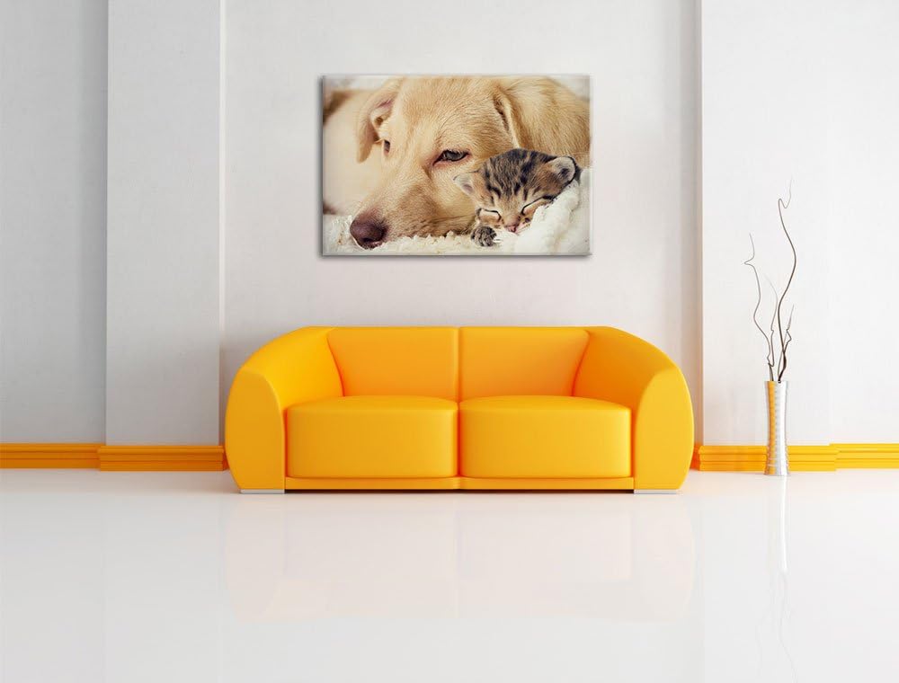 Pixxprint Träumendes Kätzchen neben Hund als Leinwandbild/Grösse: 100x70 / Wandbild/Kunstdruck/ferti