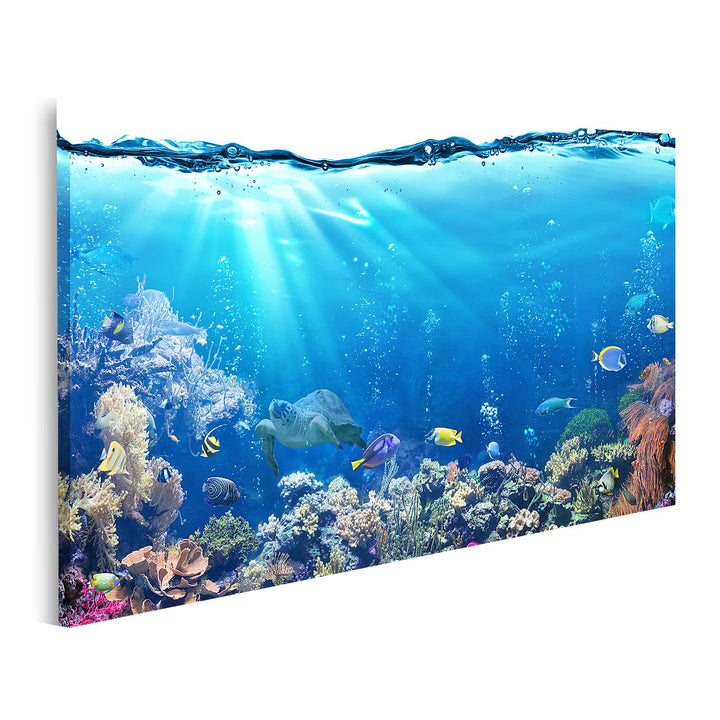 islandburner Bild auf Leinwand Unterwasser Mit Riff Und Tropischen Fischen Aquarium Hintergrund Bild