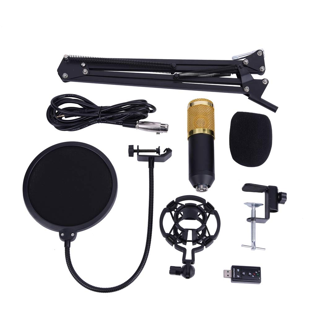 BM800 Kondensatormikrofon mit Shock Mount, professionelles Kondensatormikrofon mit verstellbarem Arm