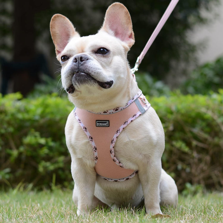 DORAMIO Hundegeschirr Kleine Hunde mit Leine, Step-in Geschirr Reflektierend Atmungsaktiv Brustgesch