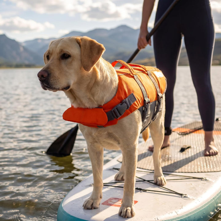 Kyjen 22021 Outward Hound Ripstop Quick Release Easy Fit Rettungsweste für Hunde, verstellbar, Gröss