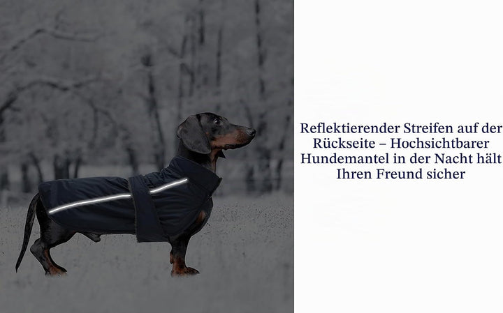 MOREZI Dachshund Regenmantel, wasserdichte Aussenschicht, Fleecefutter, reflektierende Besätze, Vers