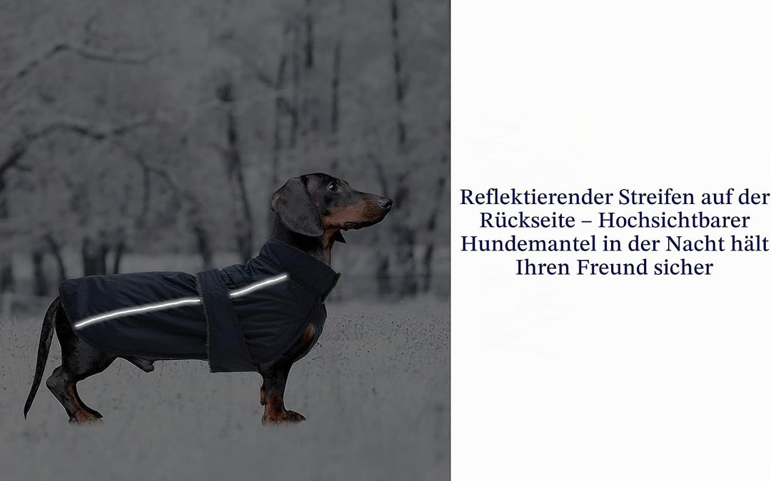 MOREZI Dachshund Regenmantel, wasserdichte Aussenschicht, Fleecefutter, reflektierende Besätze, Vers