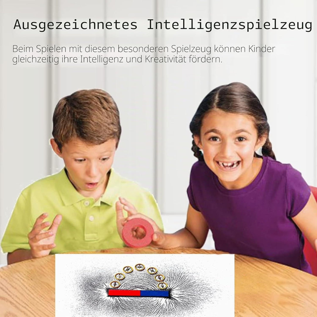 Magnetischer Sand Eisenfeilspäne Magnetkraft für Magnetunterricht und Schulprojekte, Aufbewahrung (1