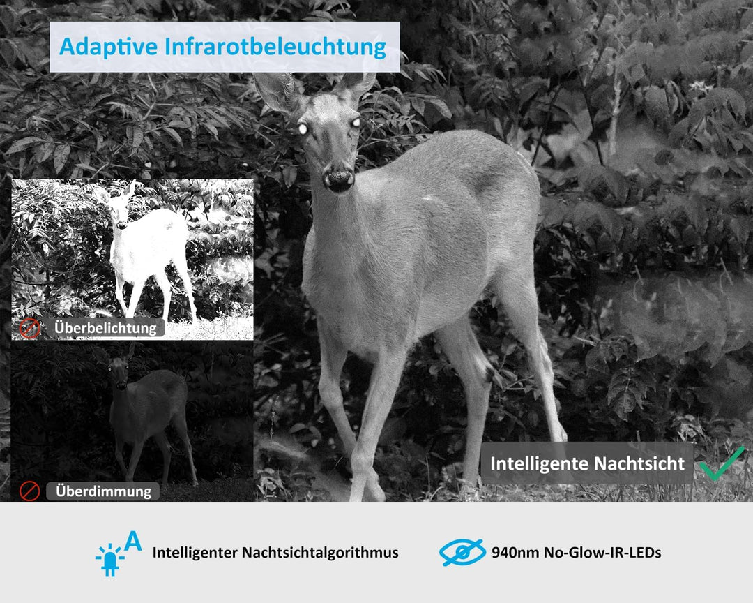 GardePro X20 4G LTE Wildkamera mit SIM-Karte und App, 48MP 1296P H.265 Video, No Glow Nachtsicht Bew