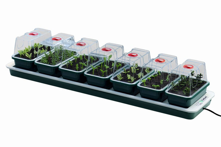 Garland Beheiztes Mini-Gewächshaus Super 7, 76 x 18,5 x 15 cm, für Keime und Stecklinge, 7 Stück
