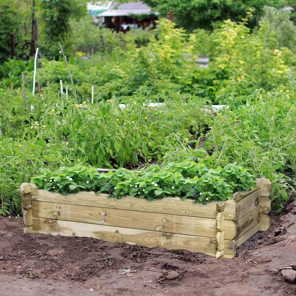 Siena Garden Tom Hochbeet, rechteckig 120x60x30cm