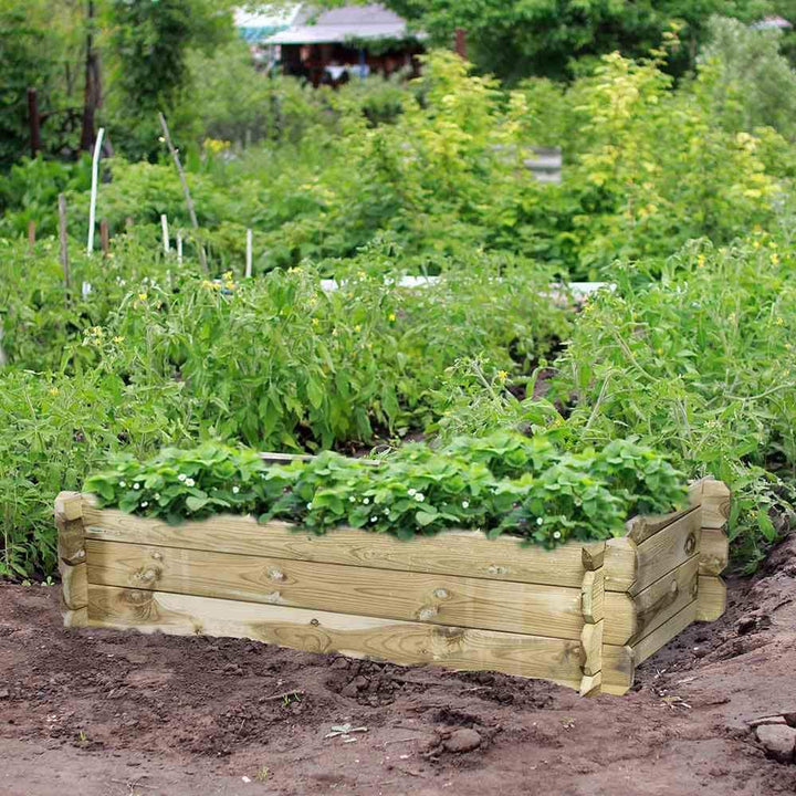 Siena Garden Tom Hochbeet, rechteckig 120x60x30cm