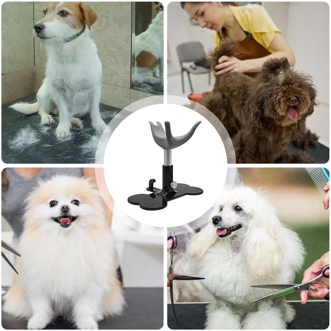 Generisch Pflegestuhl Für Kleine Hunde | Stehhilfe Zum Baden - Höhenverstellbarer Rutschfester Assis