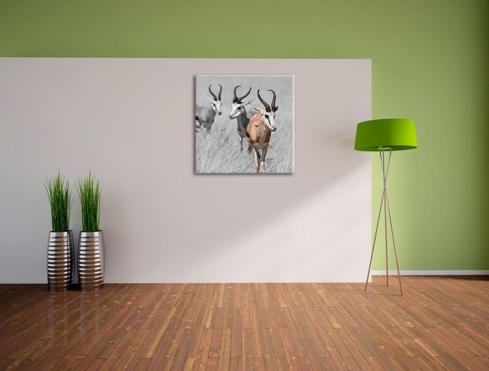 Pixxprint Tiere in Savanne Rehe Afrika / 70x70cm Leinwandbild bespannt auf Holzrahmen/Wandbild Kunst