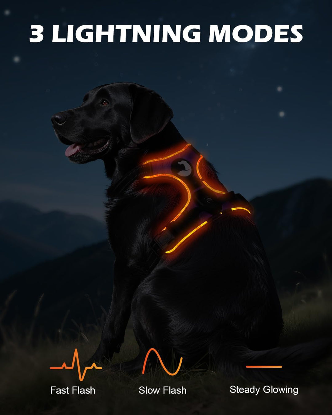 Joytale Hundegeschirr Leuchtend Aufladbar für Mittelgrosse Hunde, No Pull LED Hundegeschirr Reflekti