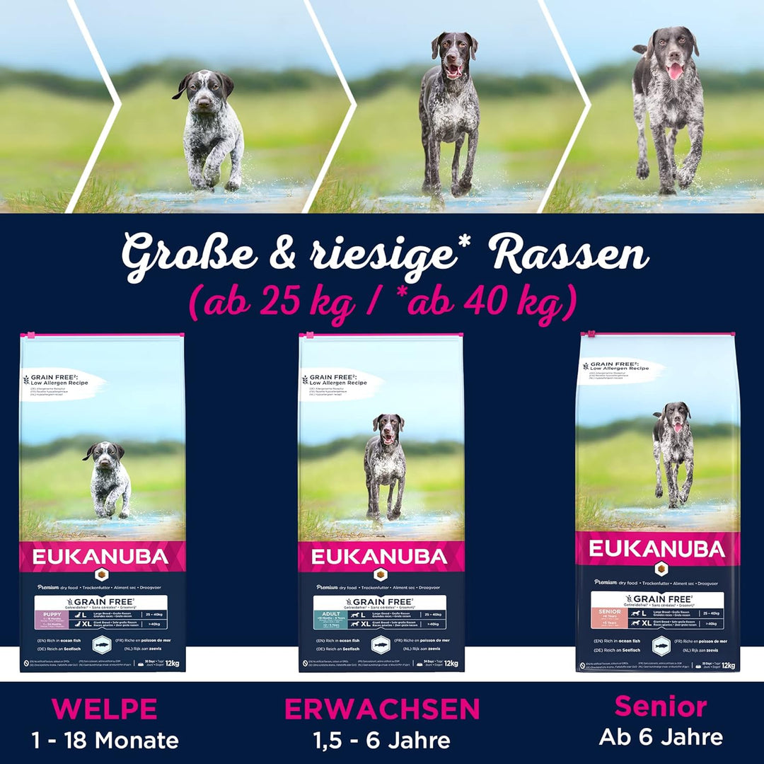 Eukanuba Hundefutter getreidefrei mit Fisch für grosse Rassen - Trockenfutter für Senior Hunde, 12 k