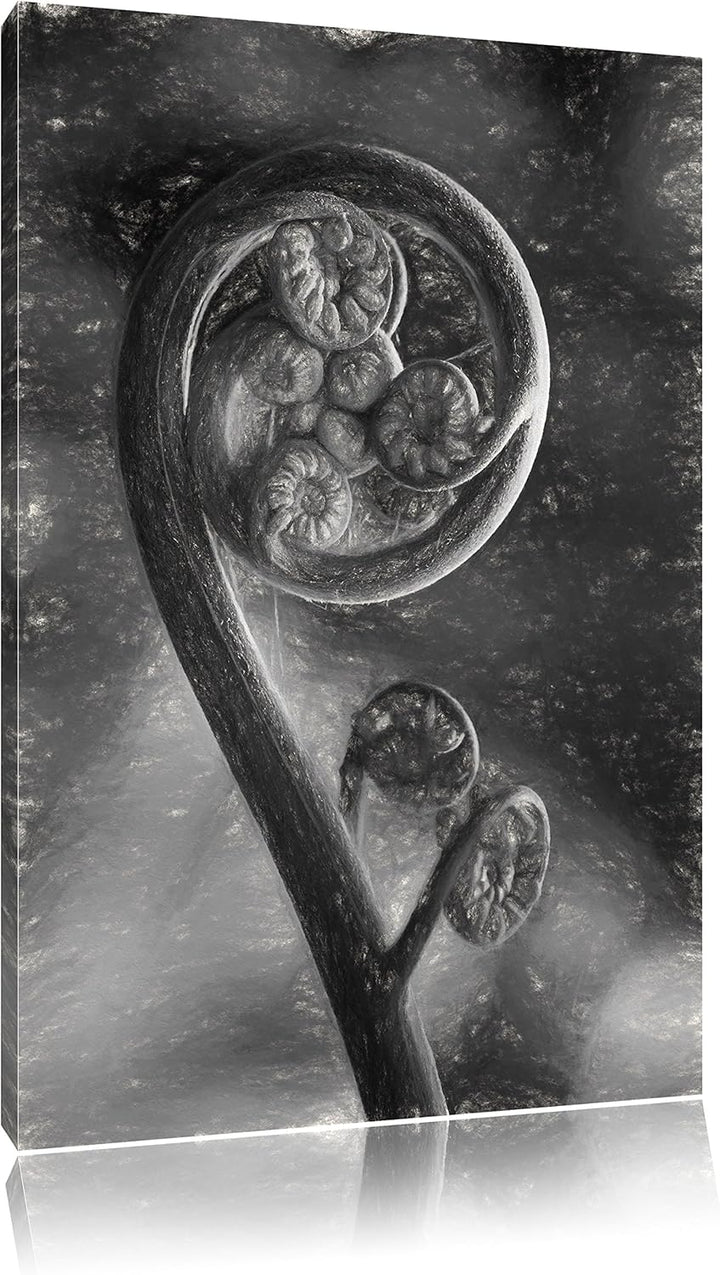 Pixxprint Blatt von Einer Farne im Wald / 100x70cm Leinwandbild bespannt auf Holzrahmen/Wandbild Kun