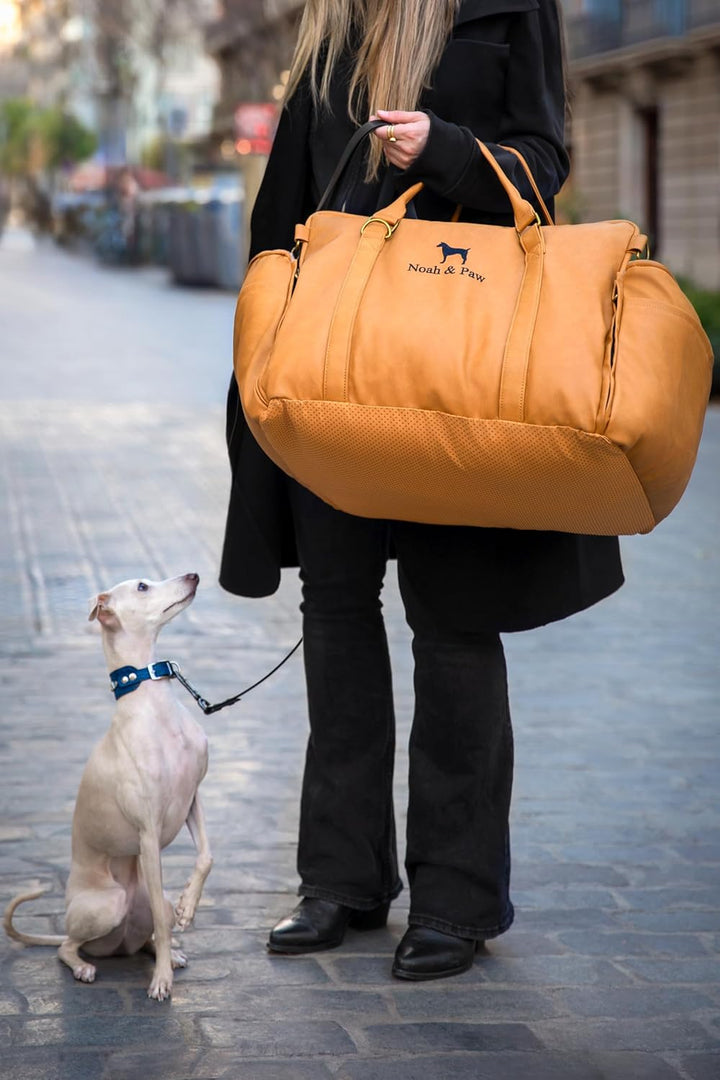 Noah & Paw Siège Auto für Hund, siège klein Hund und Tiere klein à mittel Grösse mit Clip harnais, S