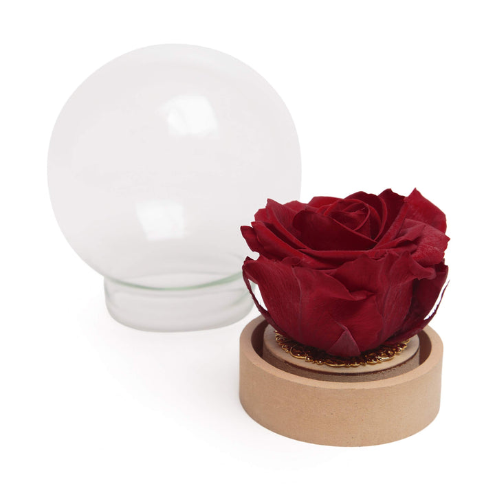 ROSEMARIE SCHULZ Heidelberg Infinity Rose im Glas echte haltbar langlebige Rose in Glaskugel (Large,