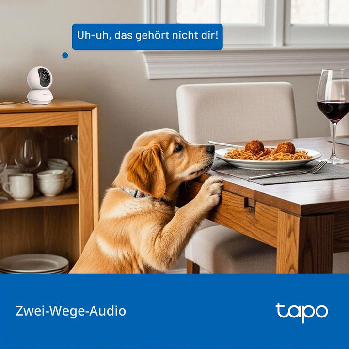 Tapo C250 4K Überwachungskamera Innen 360°, Lokale KI-Erkennung &amp; Bewegungsverfolgung mit Zoom, IR-N