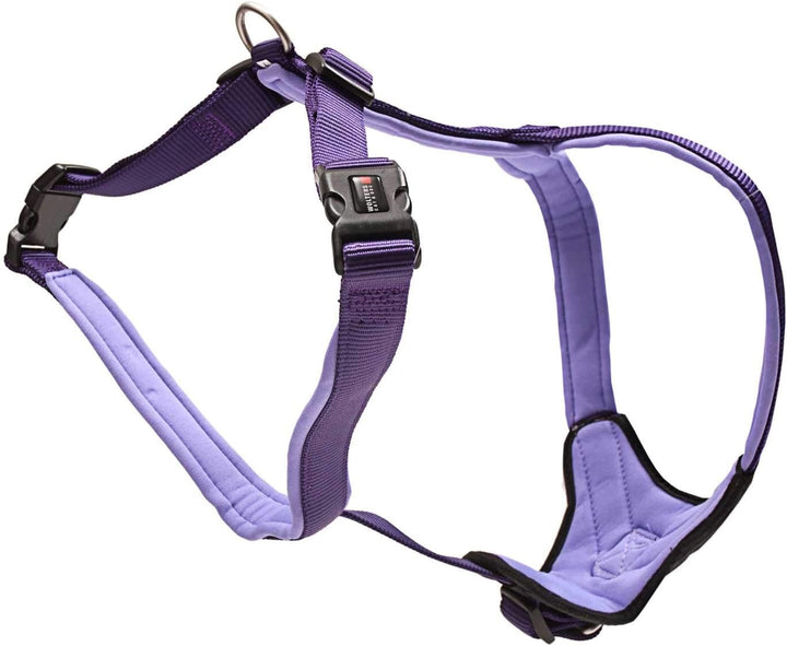 Wolters Geschirr Professional Comfort, Grösse:50-60 cm, Farbe:Olive/schwarz 50 - 60 cm olive/schwarz
