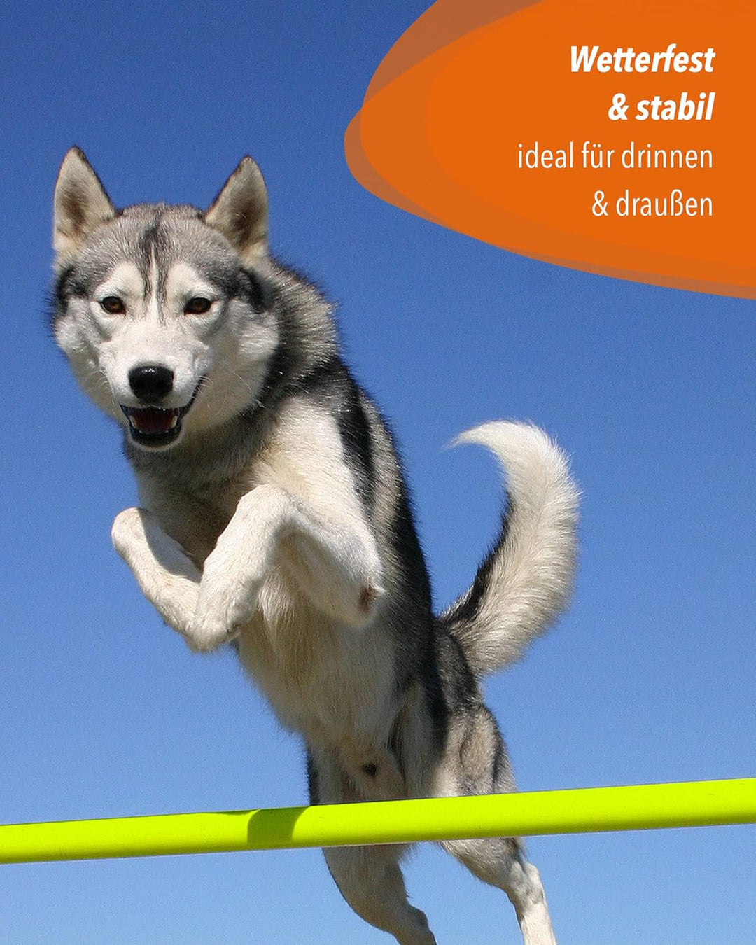 Sprunghürde aus Kunststoff – für Agility & Obedience – Parcours-Hindernis für Agility Training – Hür
