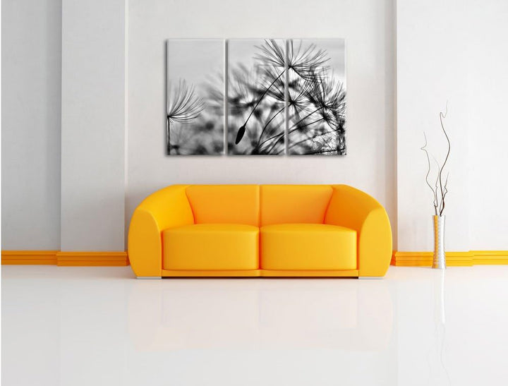 Pixxprint Pusteblumen mit Tautropfen als Leinwandbild/Grösse: 3 Teilig (120x80) / Wandbild/Kunstdruc