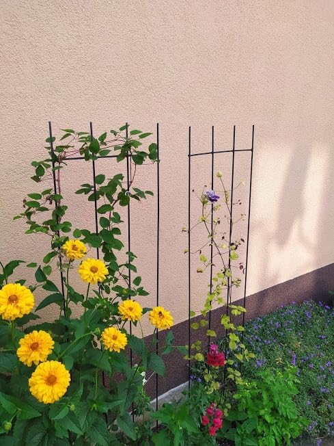 Kapaga - Rankgitter 150 cm - Rankhilfe Garten - Staudenhalter - Blumenhalter - Rankengewächs Pflanze