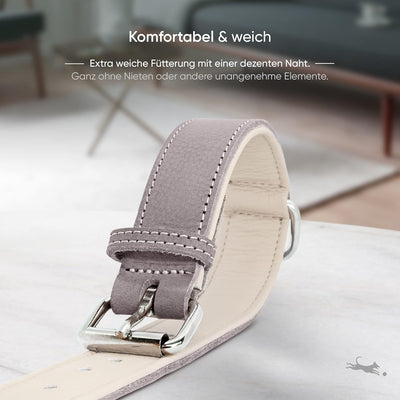 FREUDENTIER® Hundehalsband aus Leder, Made in Holland, gefüttert & super komfortabel, hochwertiges b
