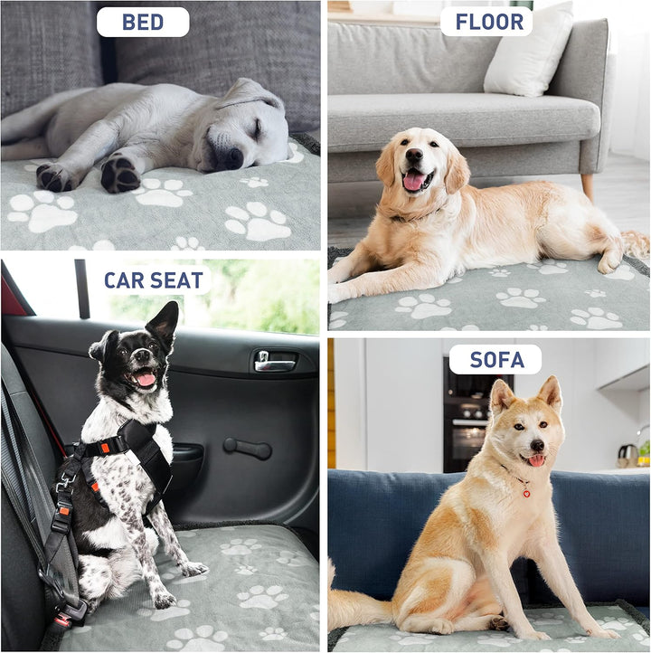 Wasserdicht Hundedecke Katzendecken Waschbar, wasserdichte Decke für Unterwegs Hundesofa Schutzdecke