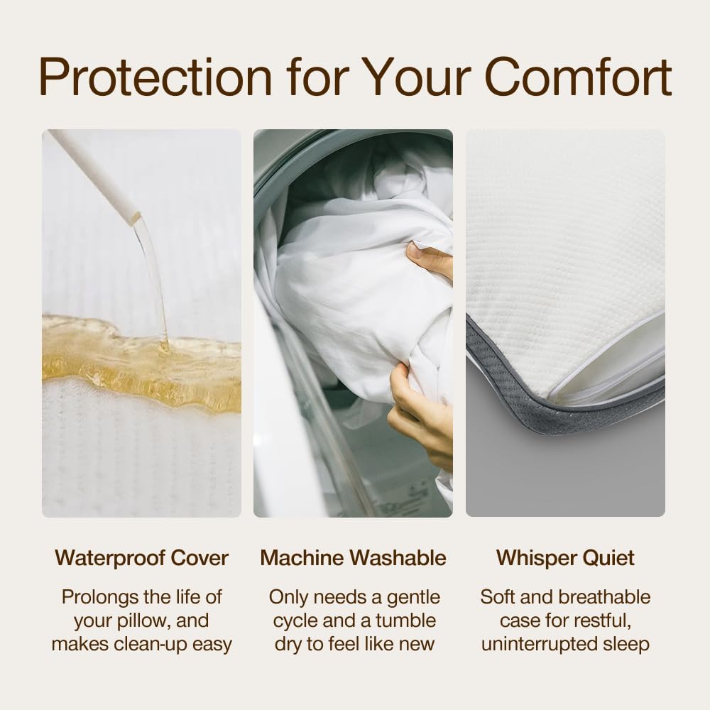 Coop Home Goods Waren Luxe wasserdicht Kissen Protector - Bmaboo abgeleitet, Viskose und Polyester M