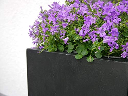 Casaflora Pflanzkübel der BUNDESGARTENSCHAU, schwarz 60x60x60, 60x60x60