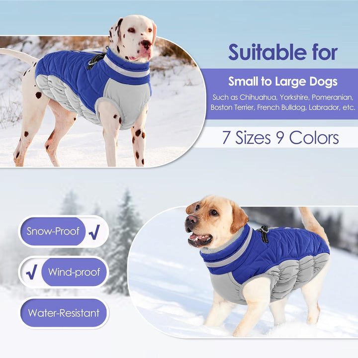 AOFITEE Hundejacke Kleine Hunde, Wasserdicht Hunde Wintermantel Warm Hundemantel mit Geschirr, Rollk