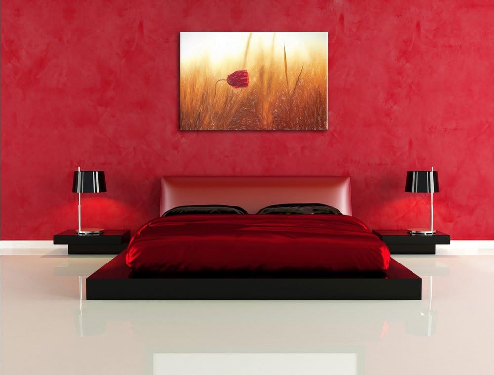 Pixxprint Einzelne rote Rose im Sonnenlicht als Leinwandbild/Grösse: 100x70 cm/Wandbild/Kunstdruck/f
