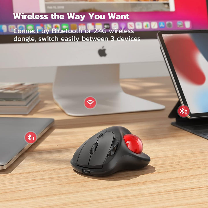 Nulea M501 Kabellose Trackball Maus, Wiederaufladbare Ergonomische Maus, Präzises und Reibungsloses