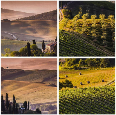 Wandbilder Dekoration Wohnzimmer Landwirtschaft Bauernhof Toskana Weinberg Bilder auf Leinwand 120x5