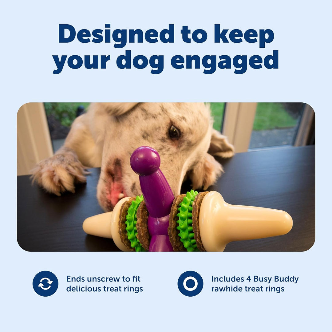 PetSafe Busy Buddy Jack Hundespielzeug, L
