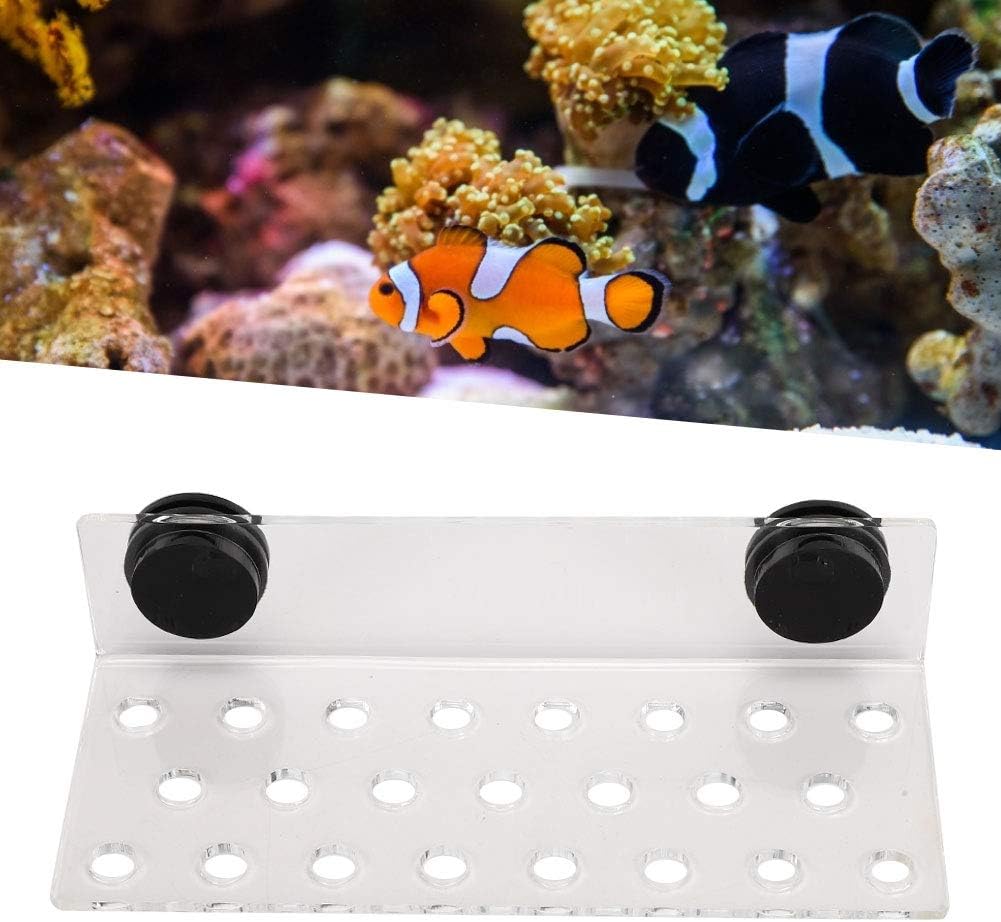 Coral Frag Rack Acryl Aquarium Magnet Coral Frag Halter Aquarium Coral Frag Rack Halterung für Aquar