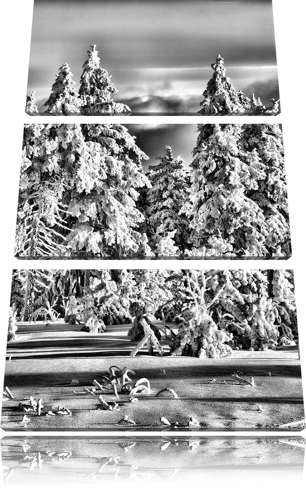 Pixxprint Winterwald als Leinwandbild/Grösse: 3 Teilig (120x80) cm/Wandbild/Kunstdruck/fertig bespan