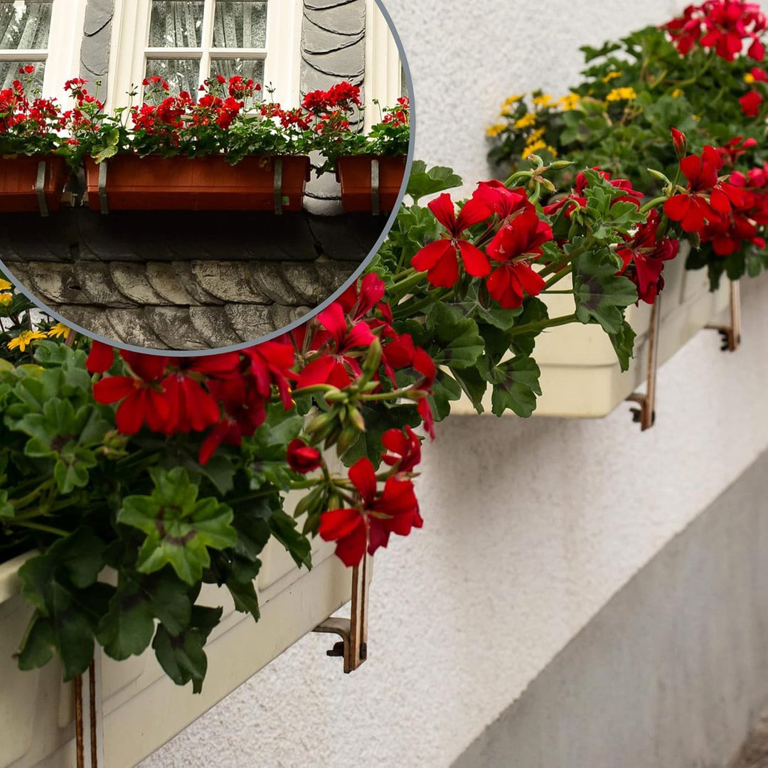 com-four® 4x Blumenkastenhalter für Balkon-Brüstungen und Geländer - flexible Befestigung aus Metall
