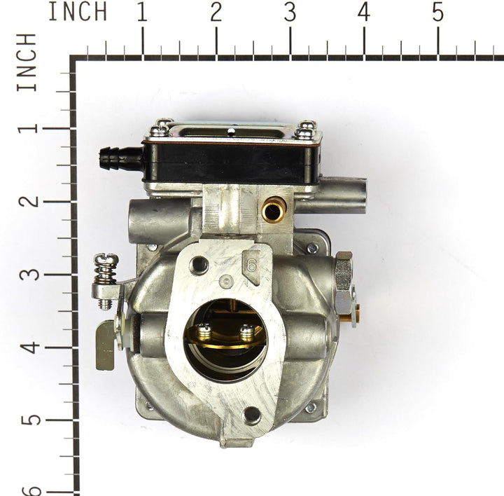 Briggs & Stratton 693480 Vergaser für Modelle 499306, 495181 und 495026