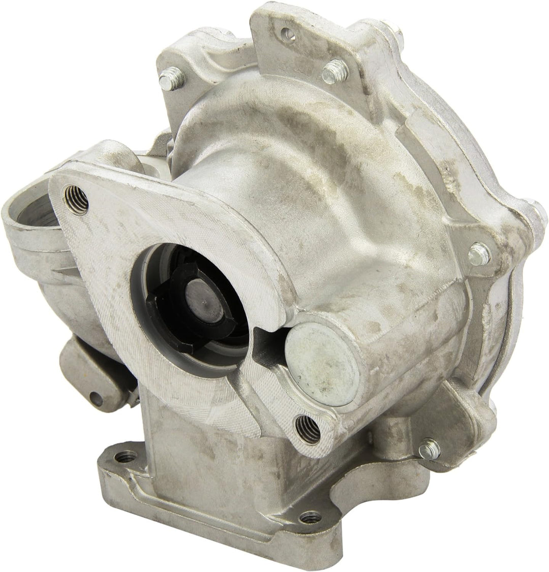 Dolz B225 Wasserpumpe