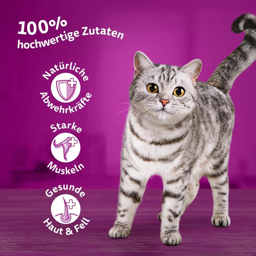 Whiskas Adult 1+ Katzennassfutter Geflügel Auswahl in Gelee, 120 Portionsbeutel, 120x85g (1 Grosspac