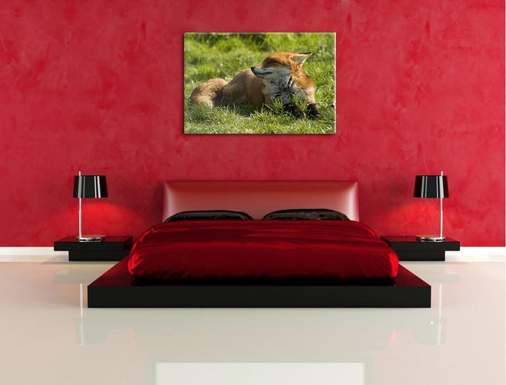 Kleiner Fuchs auf Wiese, Format: 100x70 auf Leinwand, XXL riesige Bilder fertig gerahmt mit Keilrahm