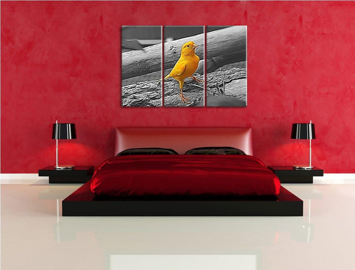 kleiner wachsamer Kanarienvogel schwarz/weiss Deluxe 3-Teiler Leinwandbild 120x80 Bild auf Leinwand,