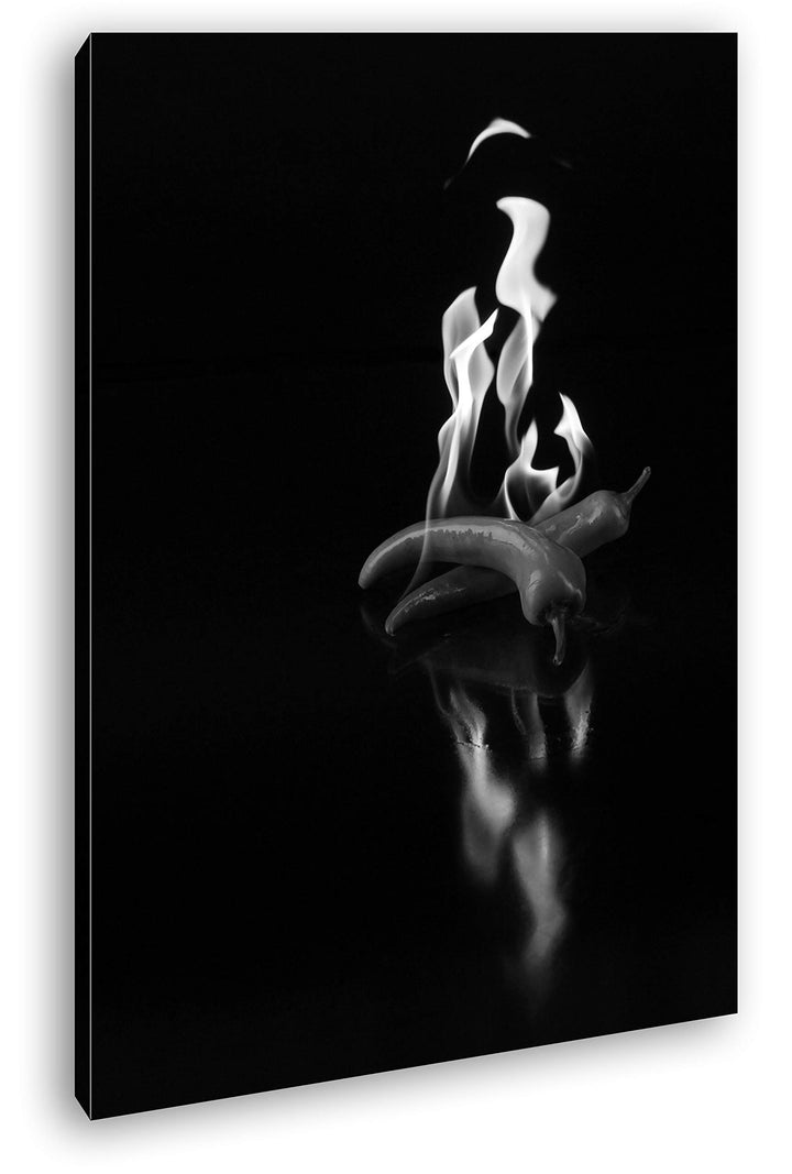 deyoli Feuer scharfe Pappironie Format: 80x60 Effekt: Schwarz&amp;Weiss als Leinwandbild, Motiv fertig g