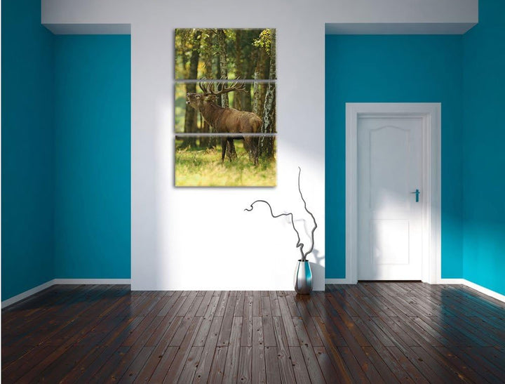 Pixxprint Hirsch im Wald 3-Teiler Leinwandbild 120x80 Bild auf Leinwand